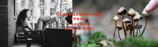 марки nbome Богородицк